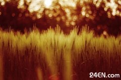 ���е��M�^��������